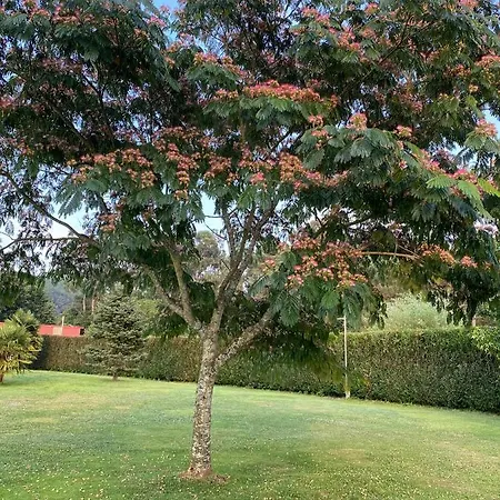 Bimba, Con Piscina Y Barbacoa Villa Caldas De Reis