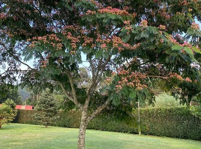 Bimba, Con Piscina Y Barbacoa ヴィラ カルダス・デ・レイス