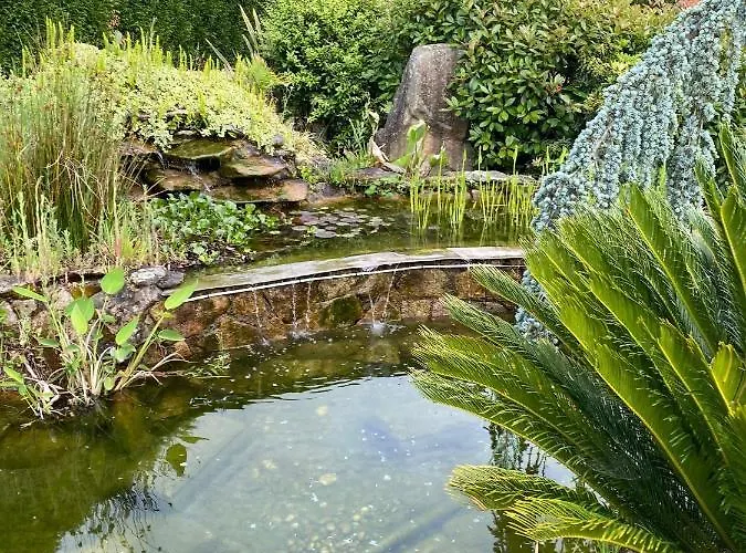 Bimba, Con Piscina Y Barbacoa ヴィラ カルダス・デ・レイス